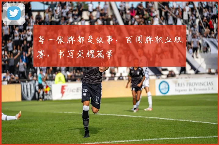 每一张牌都是故事,百闻牌职业联赛,书写荣耀篇章