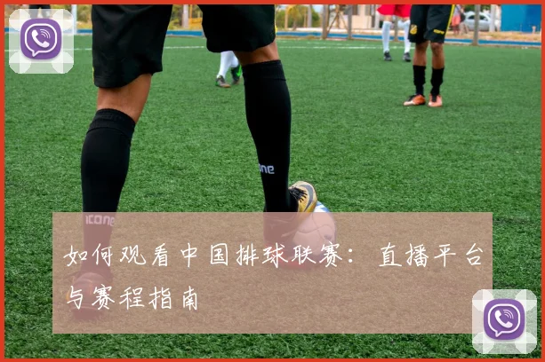如何观看中国排球联赛:直播平台与赛程指南
