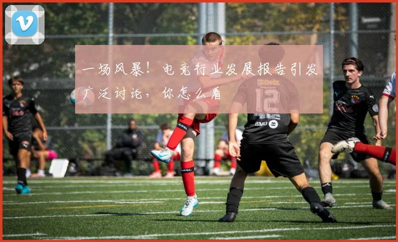 一场风暴!电竞行业发展报告引发广泛讨论,你怎么看